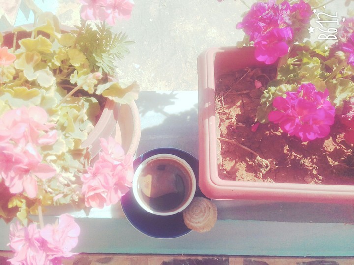 coffee