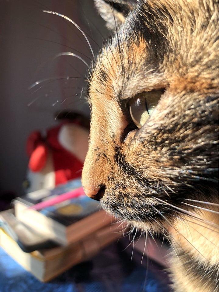 Luna.