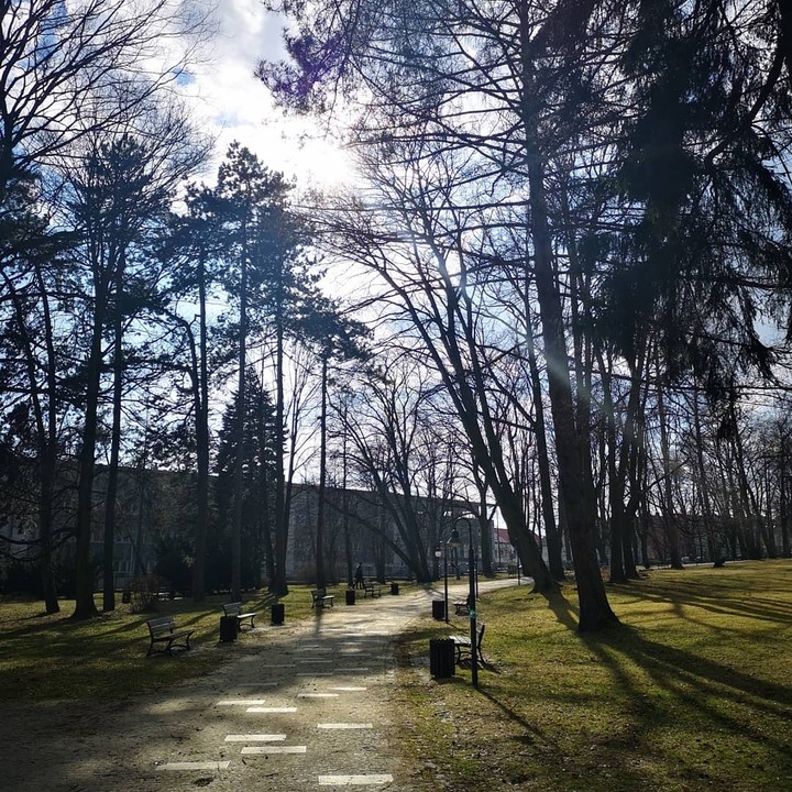 park