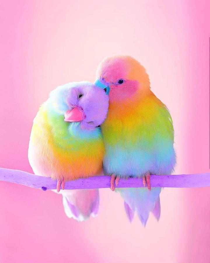 Cute