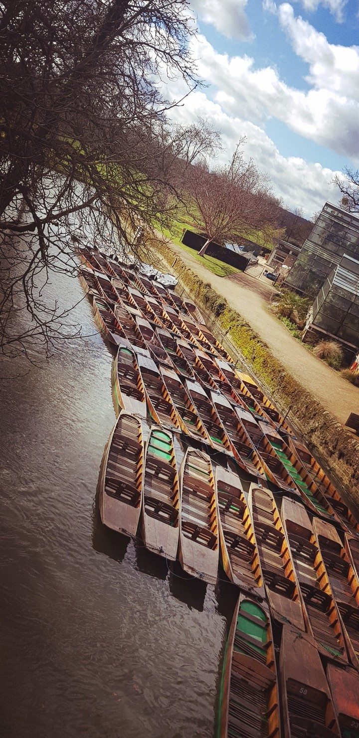 boats