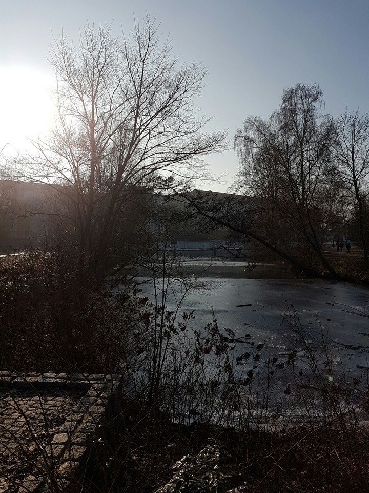 cold day in the park.