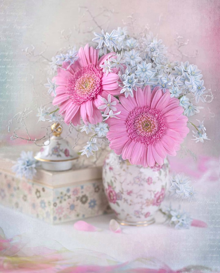 Bouquet