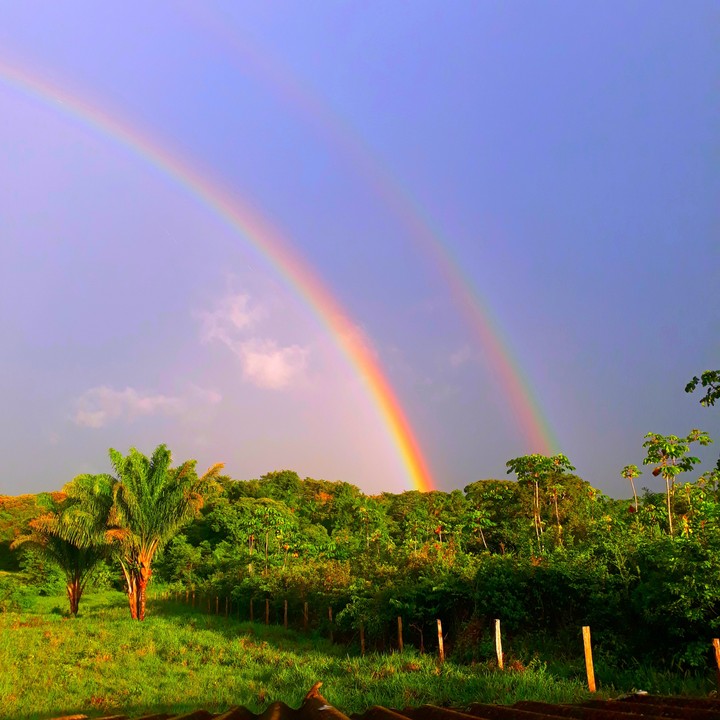 rainbow?