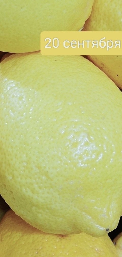 food, lemon वॉलपेपर