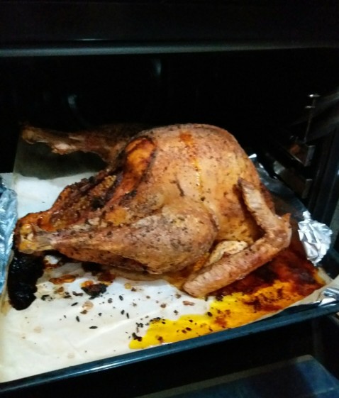 pavo