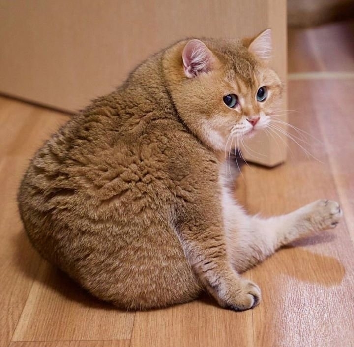 ещё