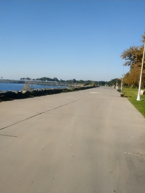 Road_surface, Asphalt, Public_space