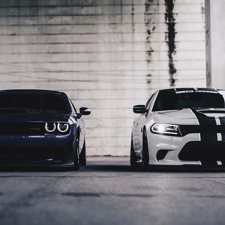 Dodge...