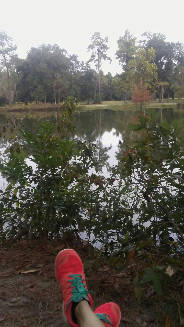 park.......