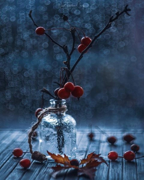 sfondi fruit, Backgrounds