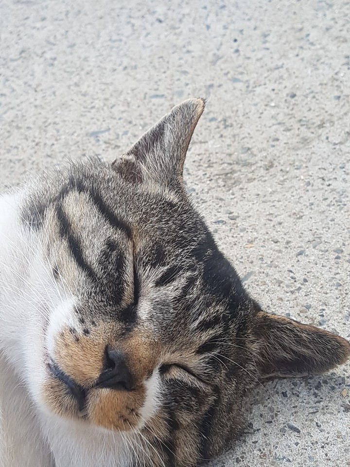?