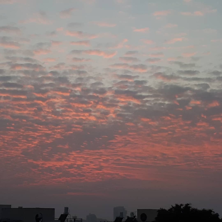 Israel,Ashkelon.