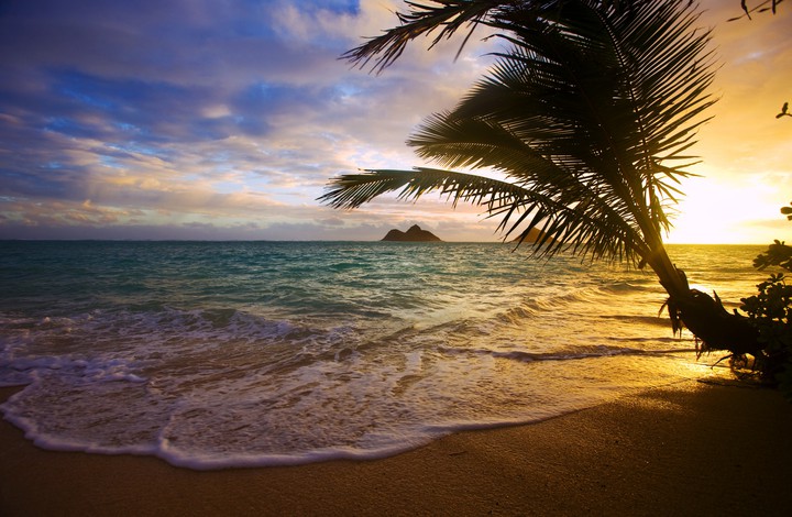 beach