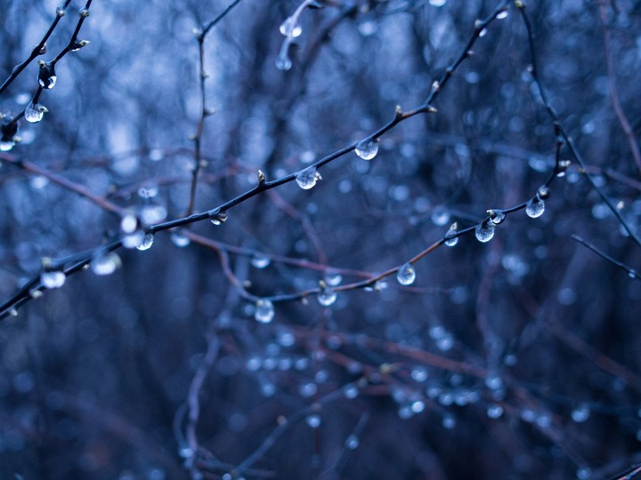 rainy