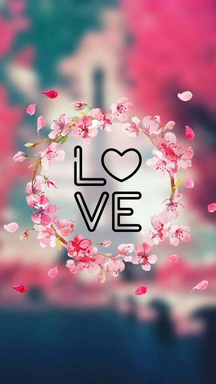 amor amor