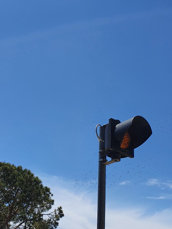 day