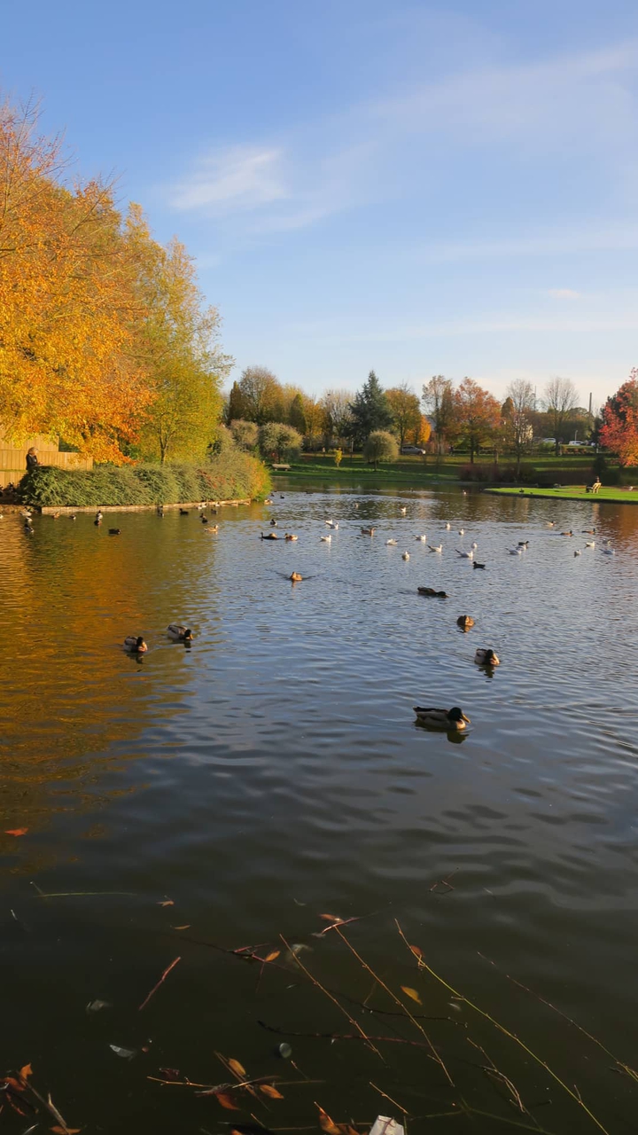automne
