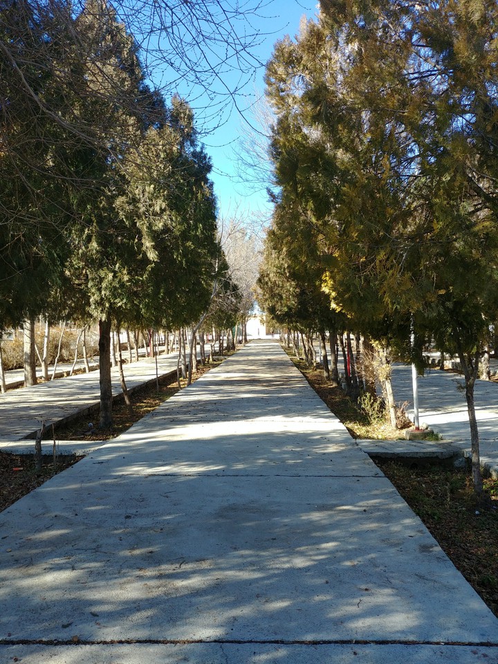 bauty Pavement with Pinons