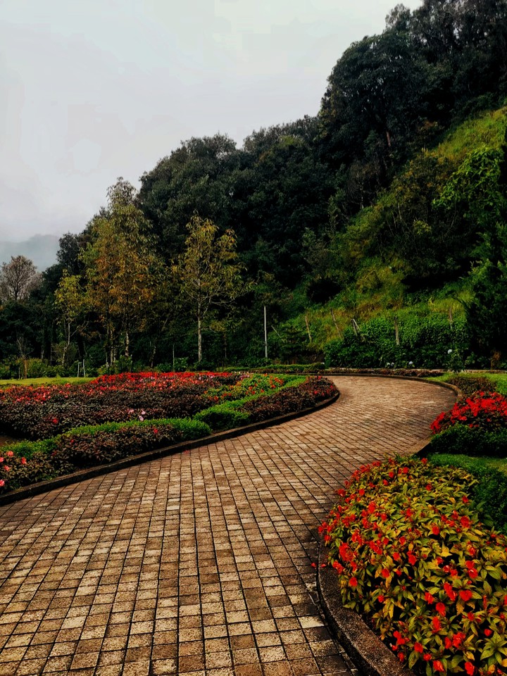 NATURE.