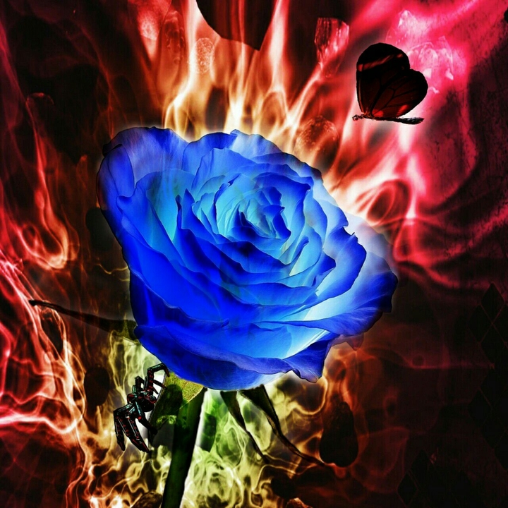 sci-fi rose
