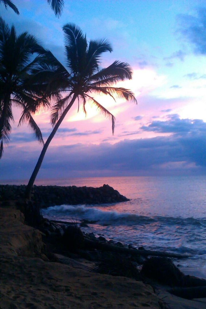 beach in Kenya