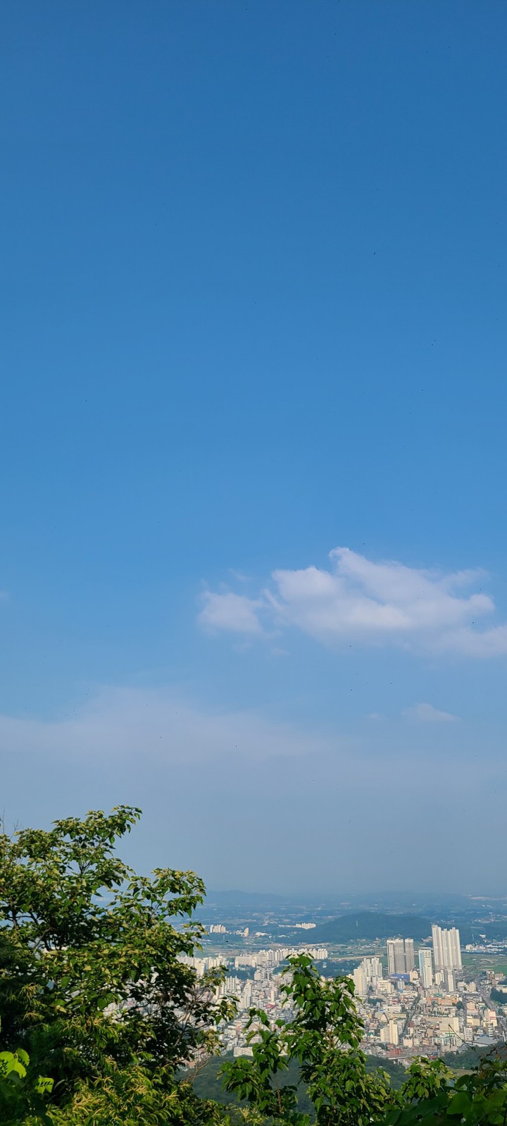 산에서 본 동네