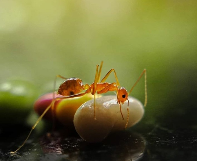 hungry