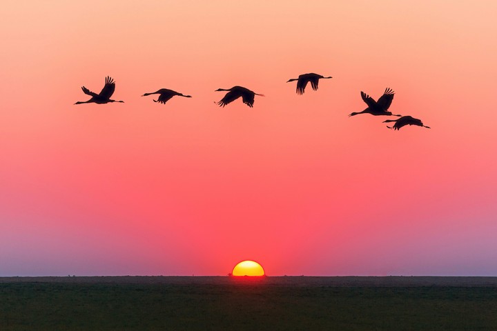 sunset