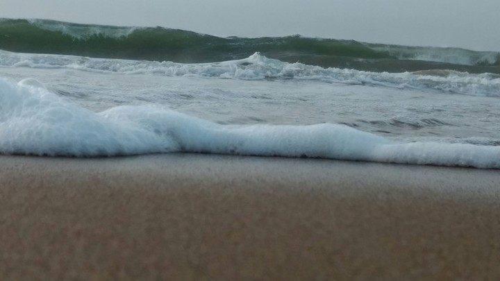Sea see