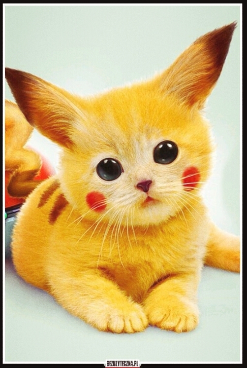Pikachu as real animal