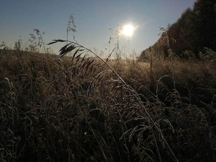 Morning sunrise