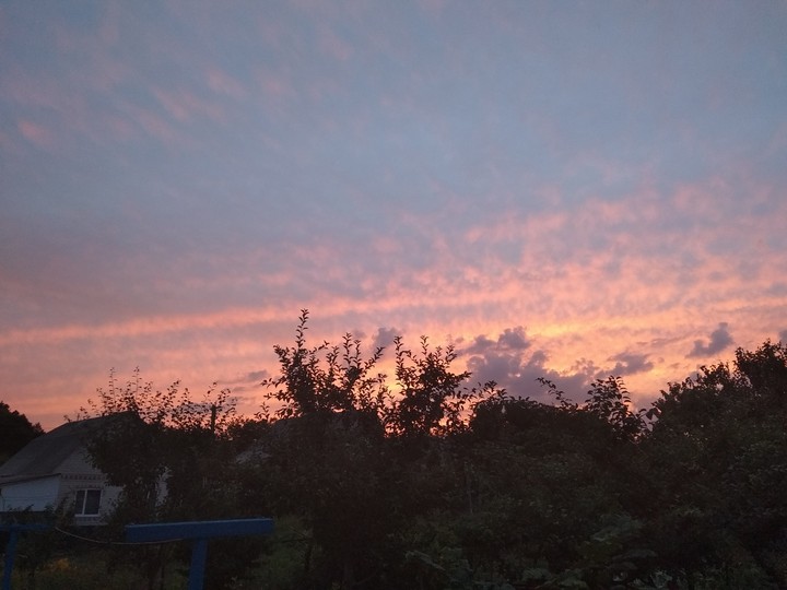 Sky