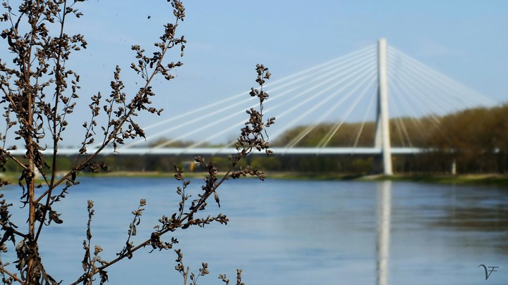 NewBridge