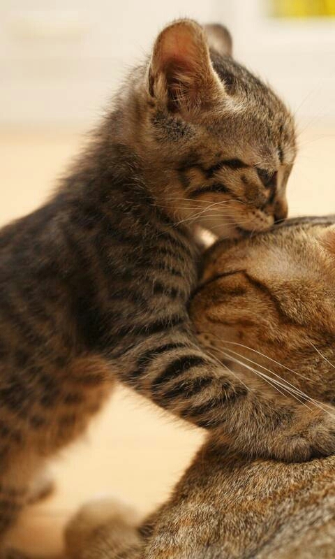 i love you!!!