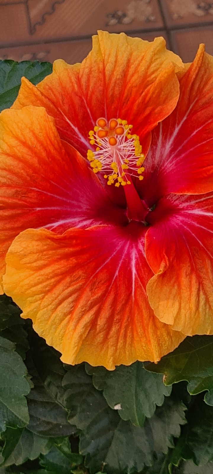 natureza