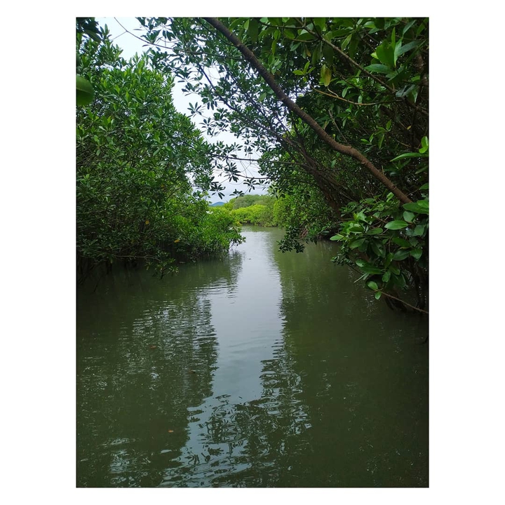 backwater