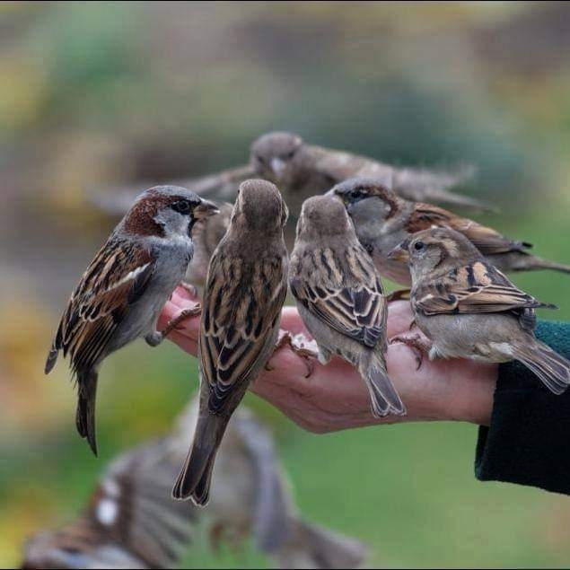 ❤❤❤