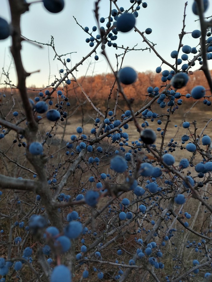 осень