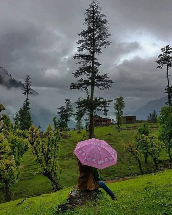 Beauty of Nature