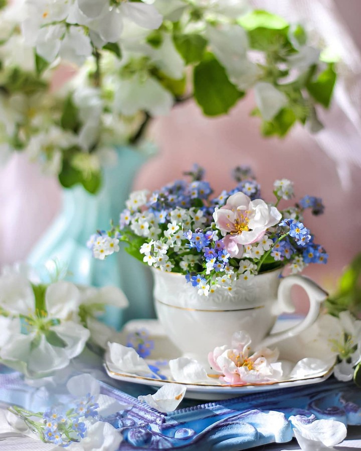 Stilllife