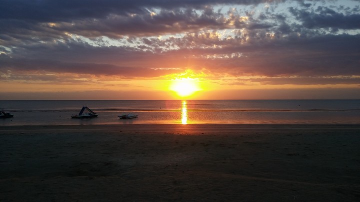 Alba #nofilter