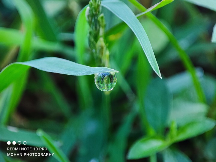 water drops