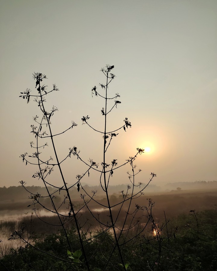 sunrise