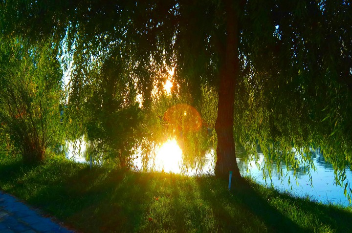 sunset