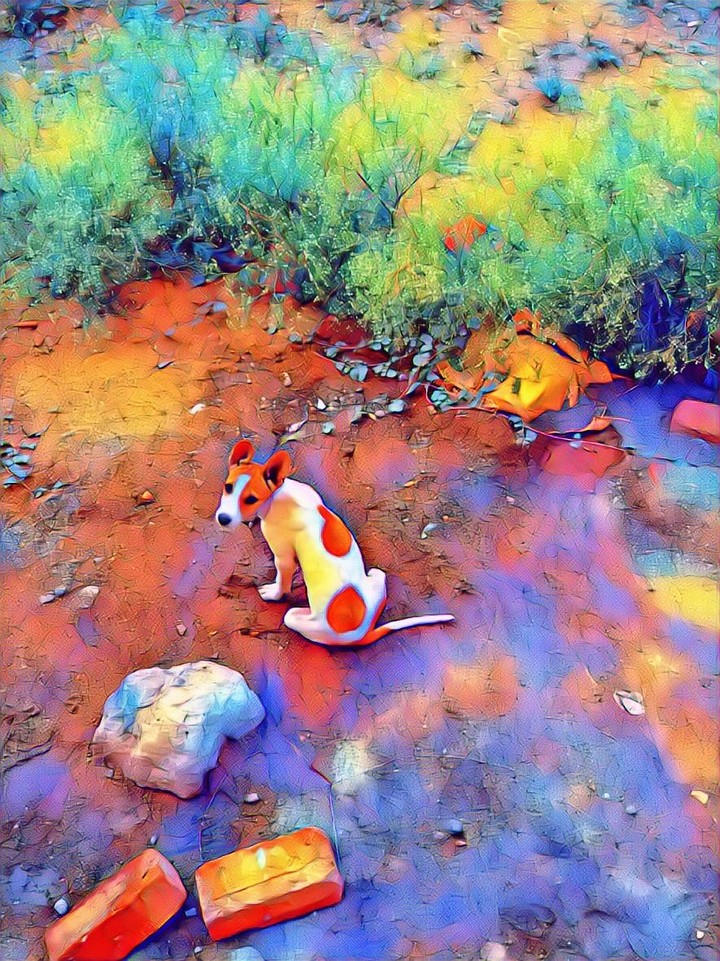 DOG