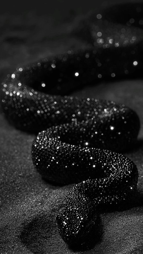 reptile, silver wallpapers