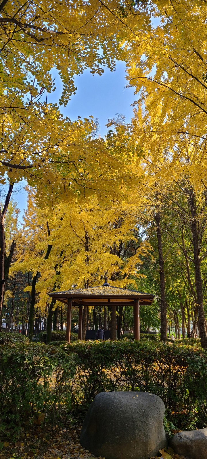 창포원