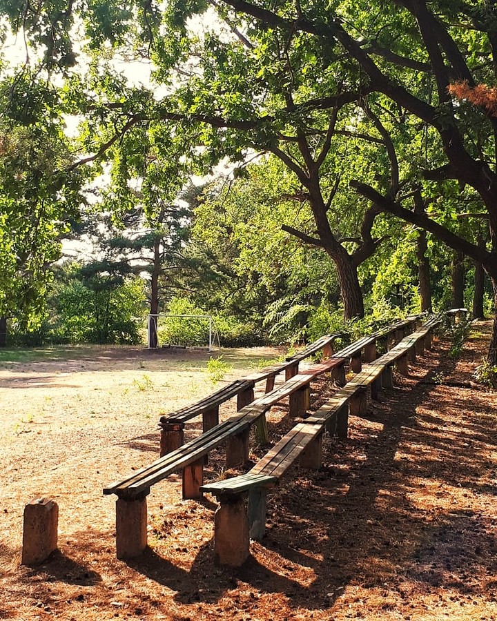 sport in forest