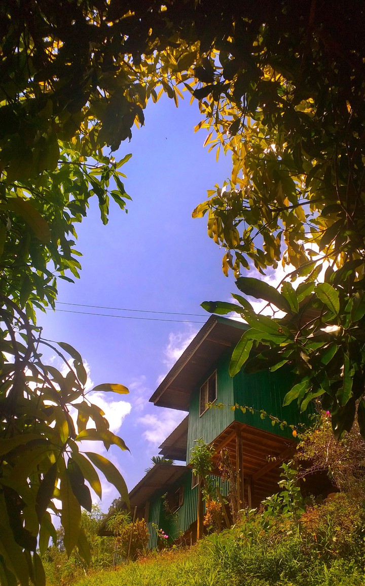 homesweethome